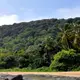 Vue d'une plage de Guyane