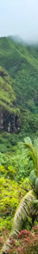 Visiter Raiatea