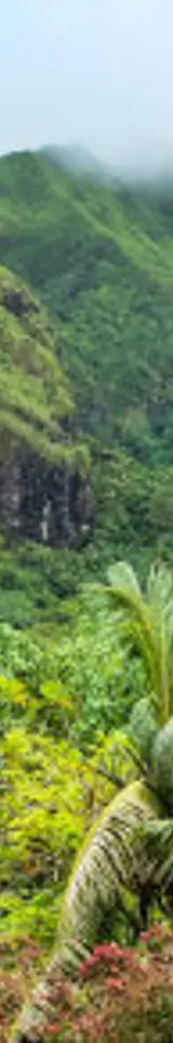 Visiter Raiatea et ses environs