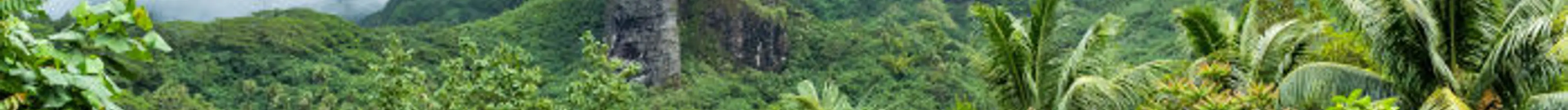 Vue de l'intérieur de l'île de Raiatea