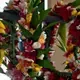 Photo d'un collier de fleurs de bienvenue polynésien