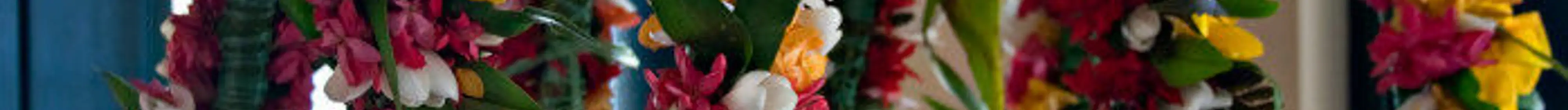 Photo d'un collier de fleurs de bienvenue polynésien