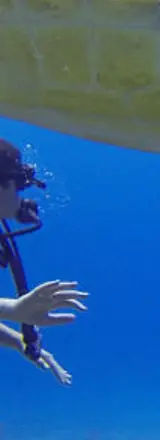 Visiter Rangiroa et ses environs