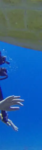 Visiter Rangiroa