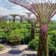 Photo des jardins sur la baie de Singapour 