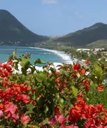 Martinique