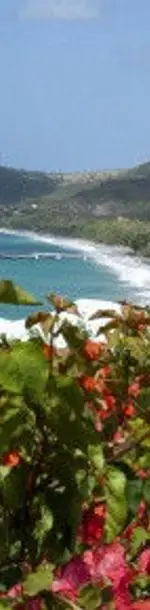 Vol pas cher Martinique