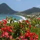 Photo d'un paysage fleuri de Martinique
