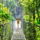 Photo d'un pont de singe dans lla jungle au Costa Rica