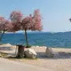 Photo du bord de mer à Zadar