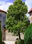 Vol pas cher Slovénie