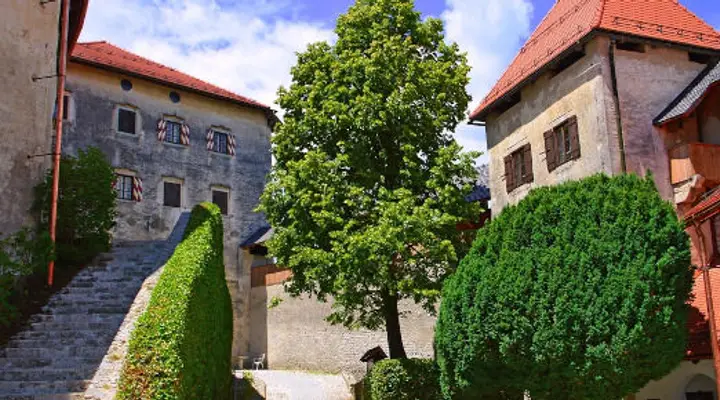 Le Château de Bled Vol pas cher pour la Slovénie, visite du Château de Bled