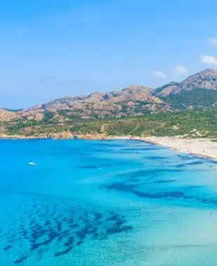 Visiter Calvi et ses environs