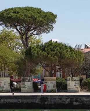 Visiter La Rochelle et ses environs