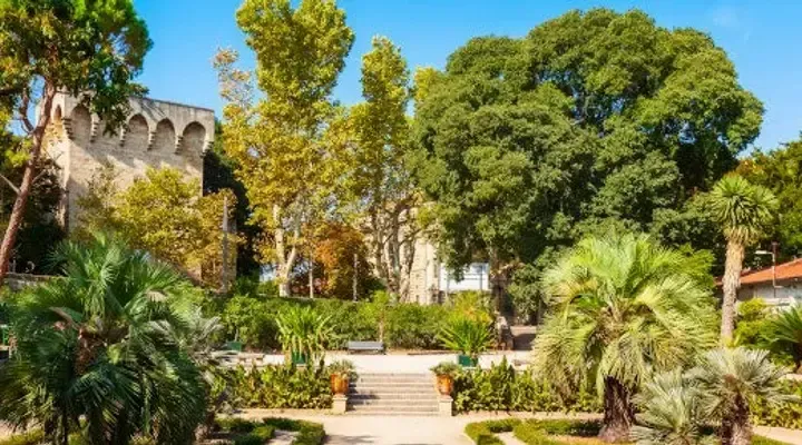 Découvrez le jardin botanique de Montpellier avec un billet d'avion pas cher vers Montpellier Découvrez le jardin botanique de Montpellier avec un billet d'avion pas cher vers Montpellier