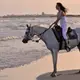 Photo d'une femme faisant une balade à cheval au bord de la méditerranée à proximité de Montpellier