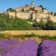 Photo de la Provence dans le Sud de la France