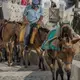 Photo de balade à dos d'ânes sur l'île de Santorin