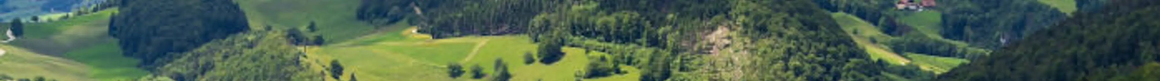 Vol pas cher Bâle Suisse