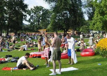 Vol pas cher pour Zurich, balade au parc Arboretum