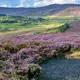 Vue des Highlands en fleur en été