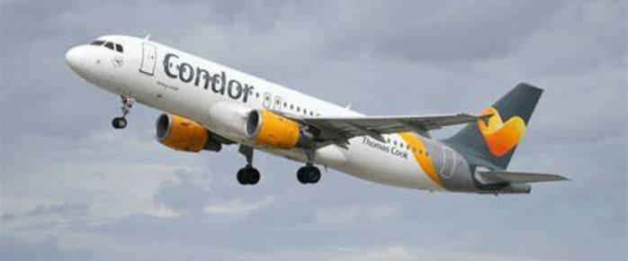 Photo de Condor