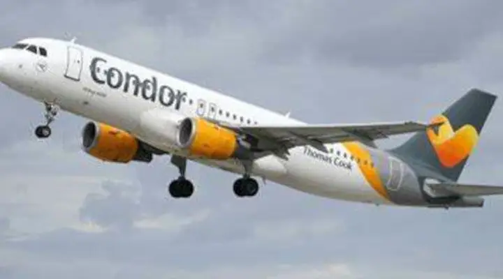 Photo de Condor Photo de Condor