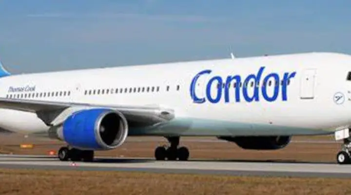 Photo de Condor Photo de Condor
