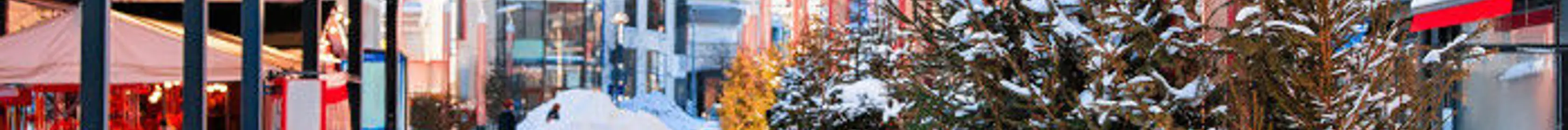 Photo du village du Père Noel