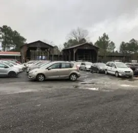 Parking Bapark Cars