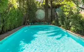 Le Windsor, Jungle Art Hotel