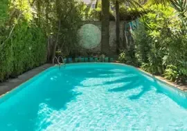 Le Windsor, Jungle Art Hotel