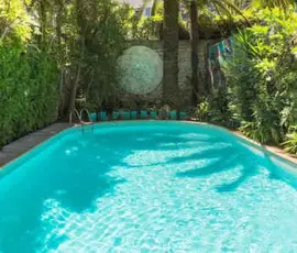 Le Windsor, Jungle Art Hotel