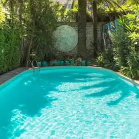 Le Windsor, Jungle Art Hotel