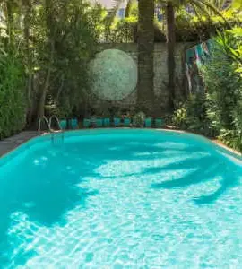 Le Windsor, Jungle Art Hotel