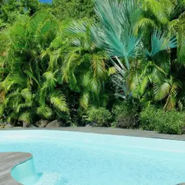 Le Domaine du Rocher Noir 