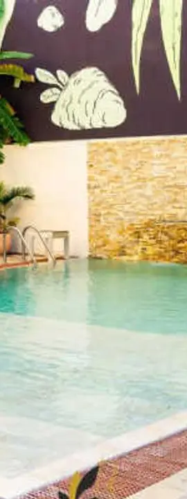 Tulip inn Sainte Clotilde 
