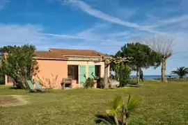 Pinea Mare 