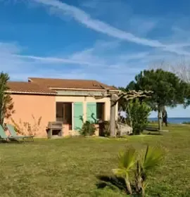 Pinea Mare 