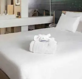 Novotel Paris Charles de Gaulle Airport