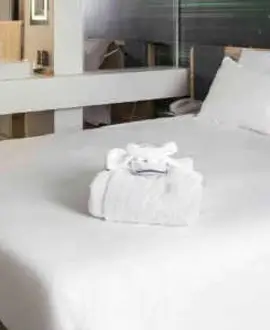 Novotel Paris Charles de Gaulle Airport