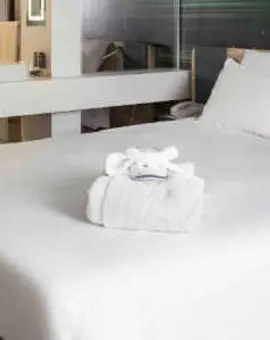 Novotel Paris Charles de Gaulle Airport