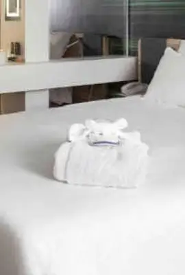 Novotel Paris Charles de Gaulle Airport