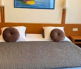 Hotel Professor
