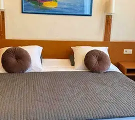 Hotel Professor