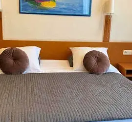 Hotel Professor