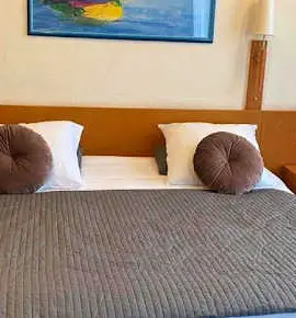 Hotel Professor