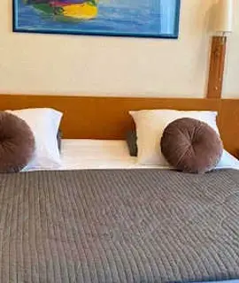 Hotel Professor