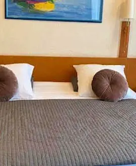 Hotel Professor
