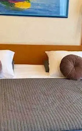 Hotel Professor
